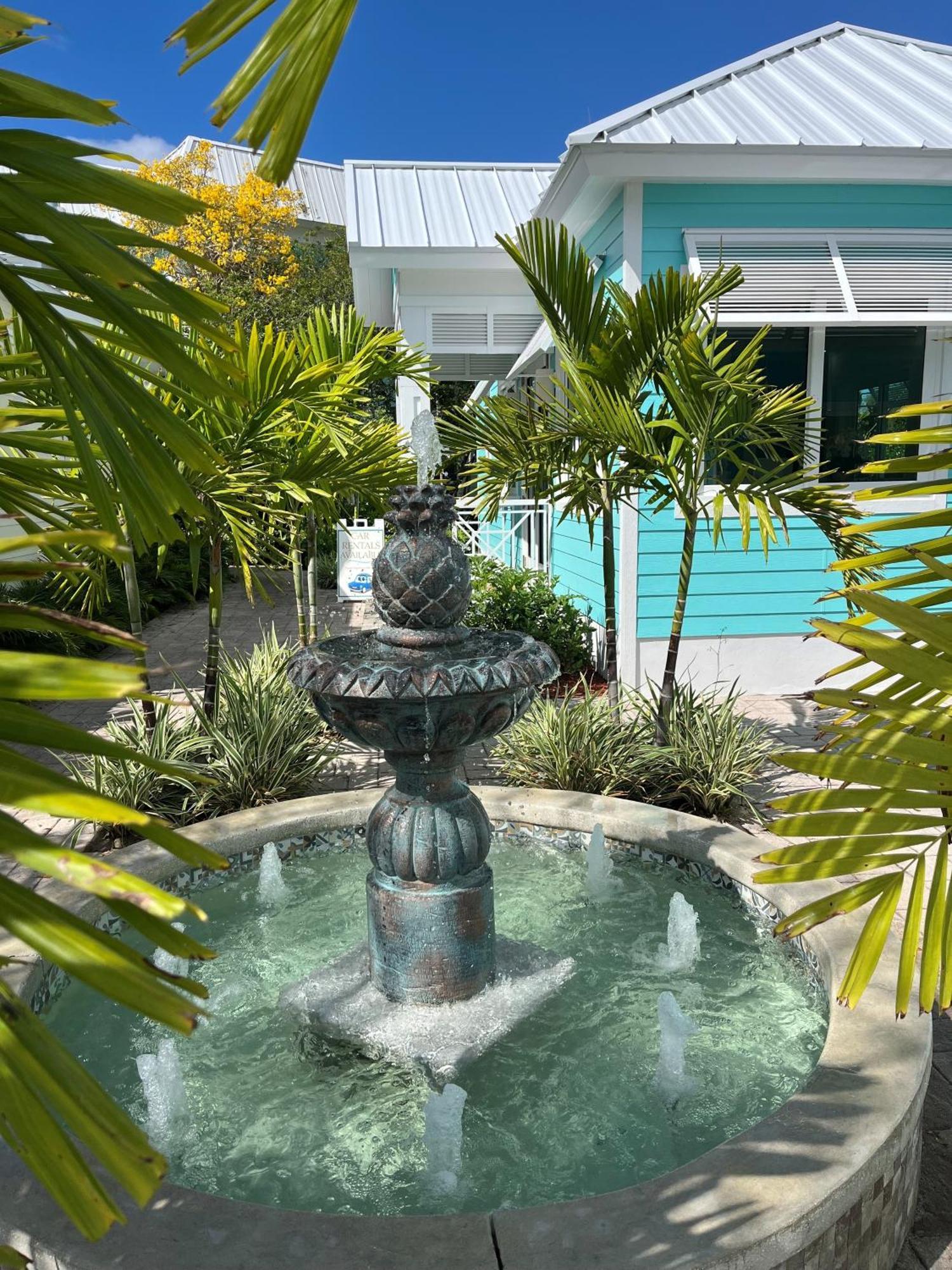 Villa Dolphin Cove (Adults Only) Freeport Esterno foto